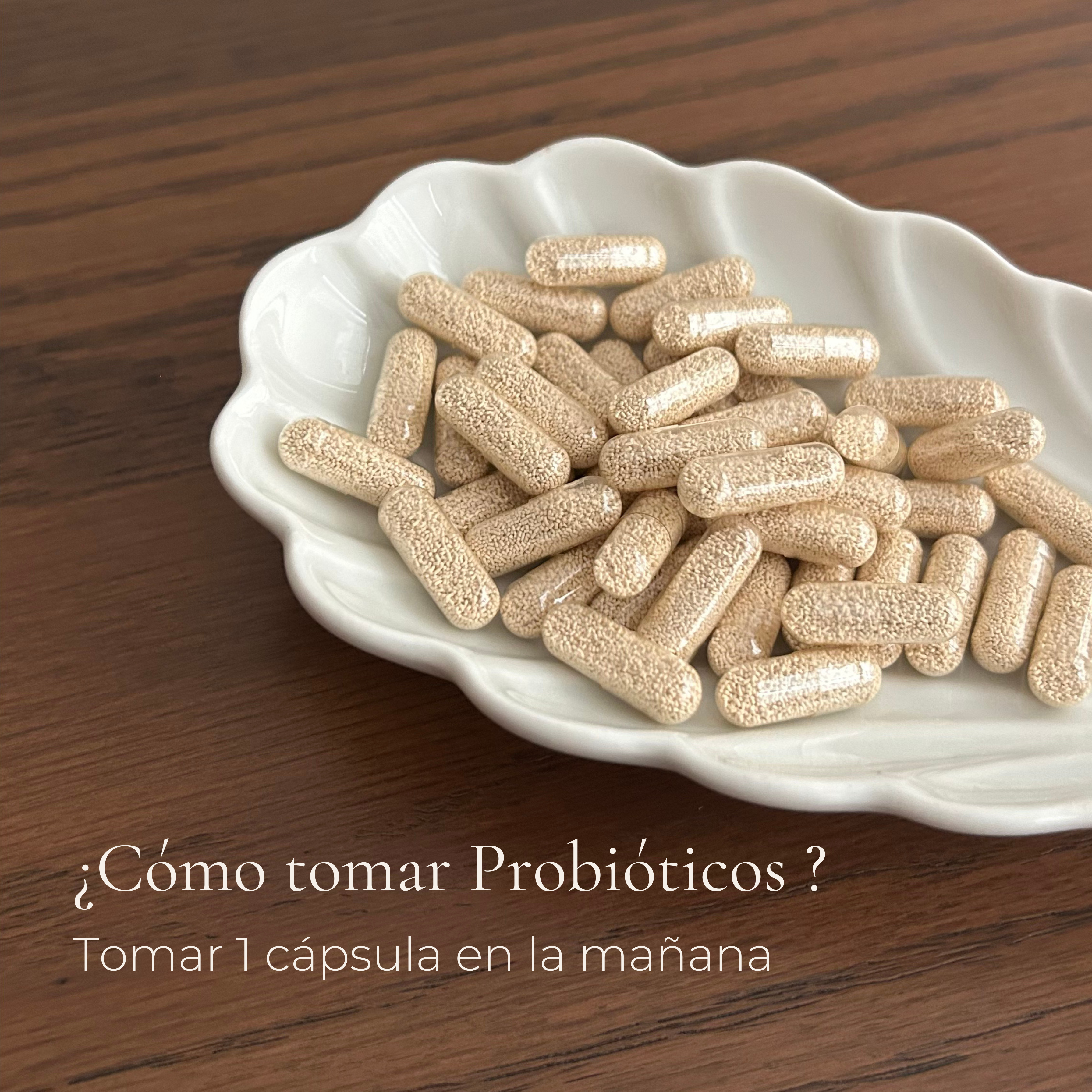 Probióticos