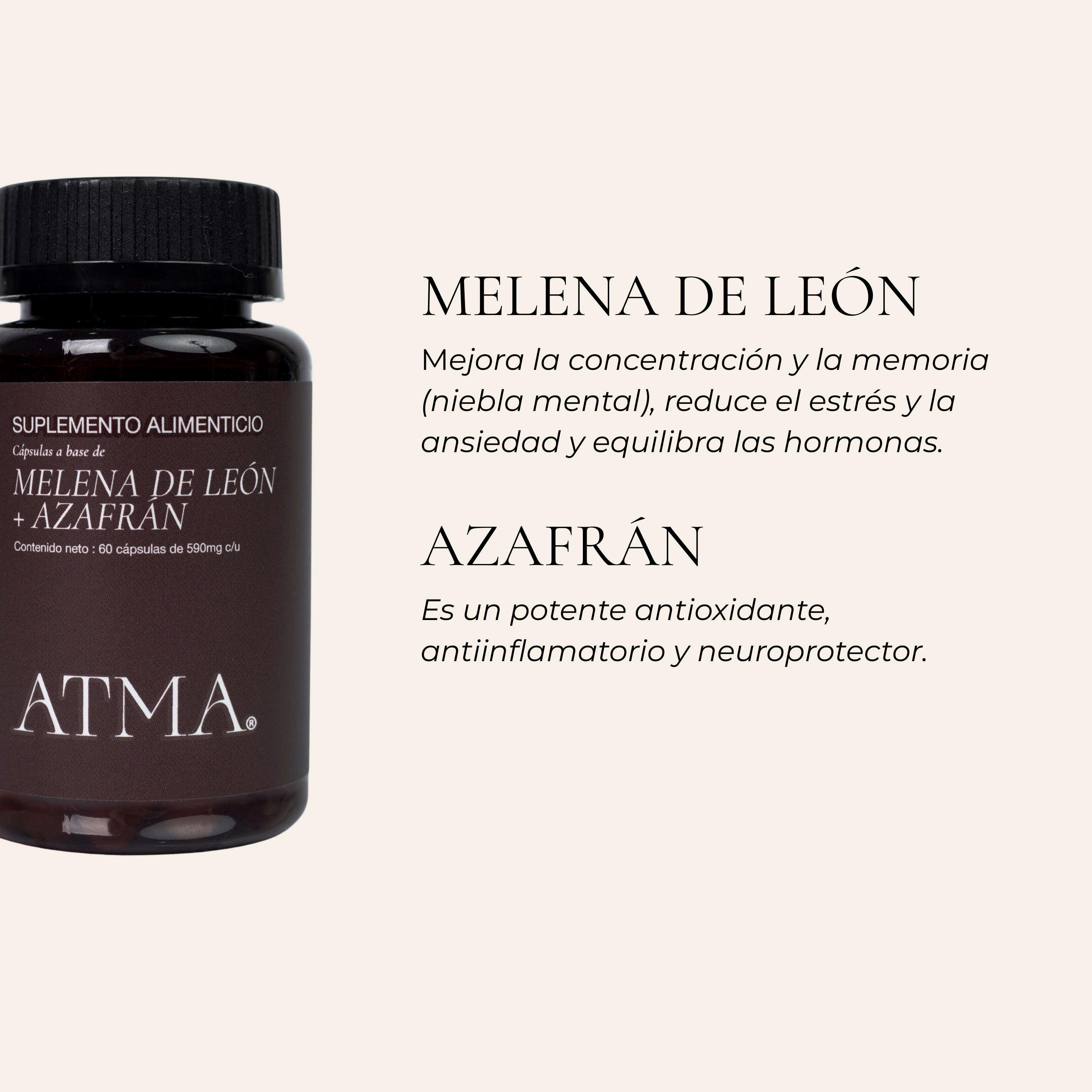 Melena de León + Azafran